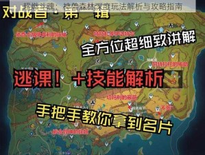 超燃斗魂：神兽森林深度玩法解析与攻略指南