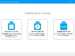 WINDOWSCHANNEL国产APP,WINDOWSCHANNEL 国产 APP：功能丰富还是暗藏风险？