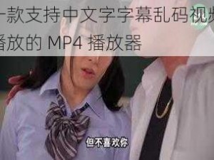 一款支持中文字字幕乱码视频播放的 MP4 播放器