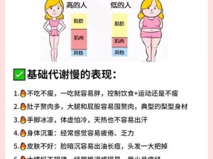 漂亮的瘦子4 漂亮的瘦子 4 的瘦身秘籍大揭秘