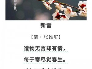 桃源深处乐章启：惊蛰时节听雷嬉戏乐享桃源惊蛰闻雷节活动