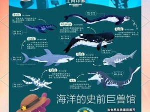 量子特攻之虎鲸生物图鉴：揭秘深海巨兽的神秘面纱与特性解析