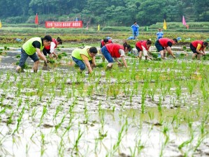 热心的朝阳群众51cgfun学生校园—热心的朝阳群众助力 51cgfun 学生校园行活动圆满举办