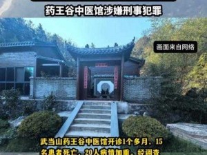 唯有药王谷神秘化雨金针：探寻神奇疗效与古老智慧的交融之道