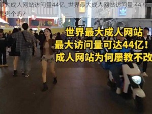 世界最大成人网站访问量44亿_世界最大成人网站访问量 44 亿，你知道它是哪个吗？