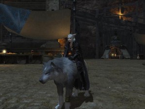 《FF14九尾神威坐骑获取攻略：详细步骤与必备条件》