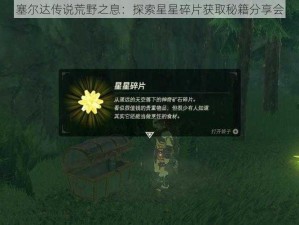 塞尔达传说荒野之息：探索星星碎片获取秘籍分享会