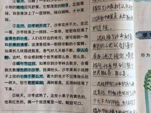 乾坤袋品质对比：探寻最佳选择，揭示真相背后的秘密调查笔记