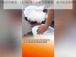 12—14小小㓜女开嫩苞、12—14 岁小小幼女开嫩苞：是对幼女的伤害，还是道德的沦丧？