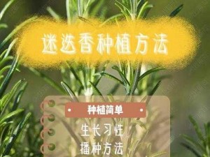 放逐之城蔬菜果树种植手册：属性详解与种植指南