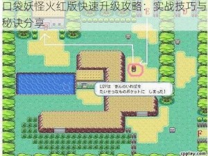 口袋妖怪火红版快速升级攻略：实战技巧与秘诀分享