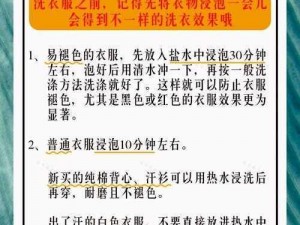 迷失如何巧妙进入洗衣店：探索最便捷途径指南之步入精致洗衣世界