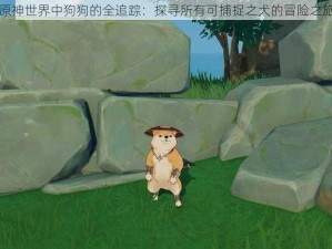 原神世界中狗狗的全追踪：探寻所有可捕捉之犬的冒险之旅