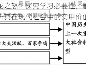 龙之怒：探究学习必要性，解析其在现代社会中的实用价值