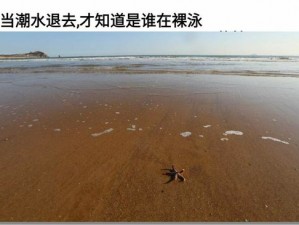 仙踪林19出轨潮水【仙踪林 19回应出轨事件：潮水终将退去，坚守初心前行】