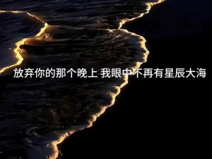 希望你到夜里就失落：歌曲背后的情感深度解析与探讨