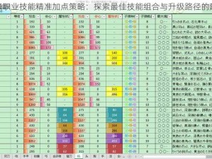 藏锋职业技能精准加点策略：探索最佳技能组合与升级路径的建议