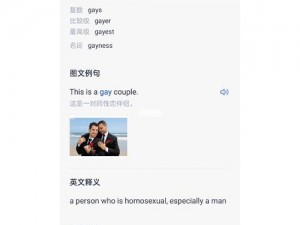 男 GayGays 免费：优质交友平台，海量优质男 GayGays 等你来聊