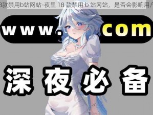 夜里18款禁用b站网站-夜里 18 款禁用 b 站网站，是否会影响用户体验？