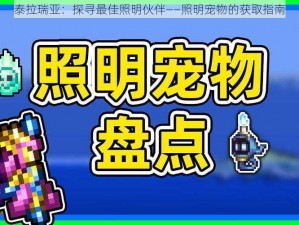 泰拉瑞亚：探寻最佳照明伙伴——照明宠物的获取指南