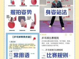 神奇乒乓安装指南：全方位配置说明手册