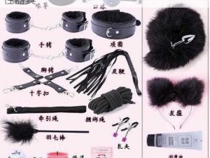 一女九男虐性器具玩弄—一女九男被虐玩弄性器具