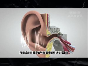 科普 x7x7x7，任意噪入口，带你了解声音的奥秘