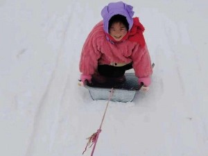 快来吧，让我们一起感受乘雪橇的叮叮声的魅力