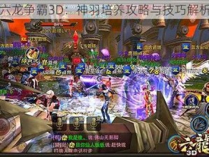 六龙争霸3D：神羽培养攻略与技巧解析