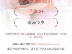 羞羞网页入口页面登陆【羞羞网页入口页面登陆——提供成人内容，未满 18 岁禁止访问】