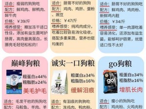 玄中记狗粮速刷攻略详解：掌握技巧轻松积累高品质狗粮攻略分享