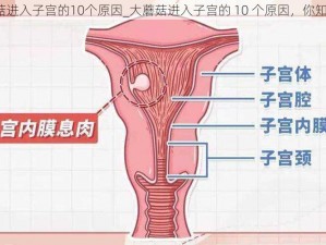 大蘑菇进入子宫的10个原因_大蘑菇进入子宫的 10 个原因，你知道吗？