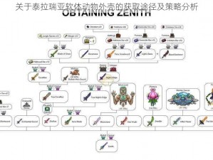 关于泰拉瑞亚软体动物外壳的获取途径及策略分析