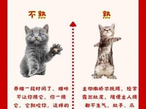 猫咪健康探秘：鼻子干湿度的科学解读与日常观察指南