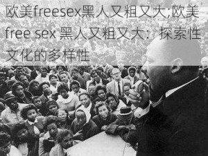 欧美freesex黑人又粗又大;欧美 free sex 黑人又粗又大：探索性文化的多样性