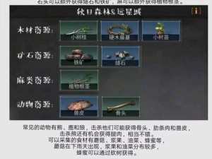 明日之后亚麻叶采集攻略及亚麻叶作用图鉴大全：解锁你的生存技能树