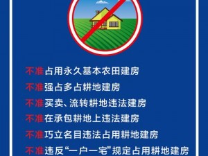 关太蔡开荒的十大忌讳：避免农业误区的关键指南