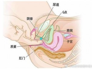 女人大荫蒂毛森林高清图片;女人大荫蒂毛森林高清特写图片