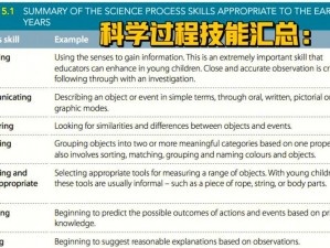 物理宝宝被动技能价格与实用性深度对比：探究技能价值与市场表现的平衡之道