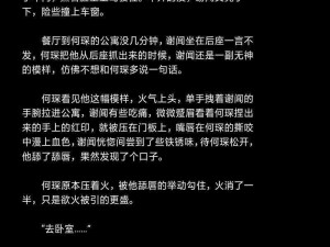 车速超高的双男主小说(车速超高的双男主，为爱强制爱，超刺激)