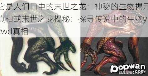 它是人们口中的末世之龙：神秘的生物揭示真相或末世之龙揭秘：探寻传说中的生物yxwd真相