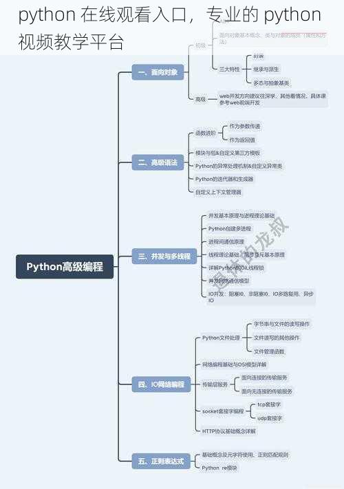 python 在线观看入口，专业的 python 视频教学平台