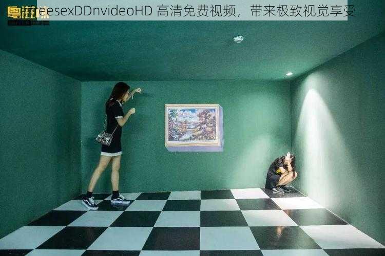 freesexDDnvideoHD 高清免费视频，带来极致视觉享受