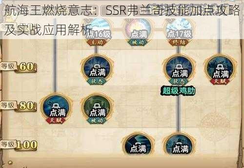 航海王燃烧意志：SSR弗兰奇技能加点攻略及实战应用解析