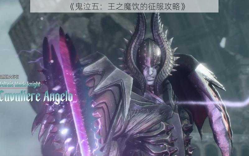 《鬼泣五：王之魔饮的征服攻略》