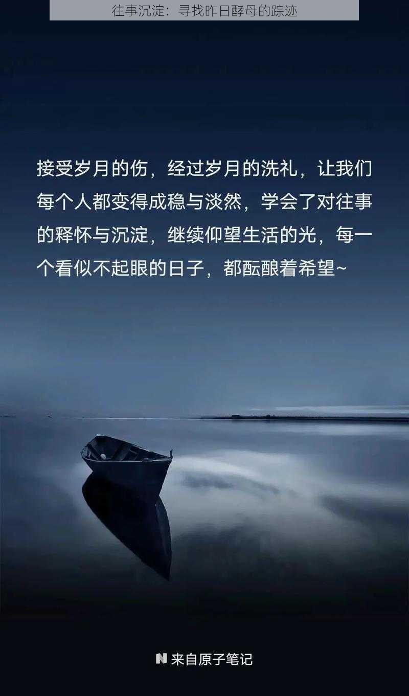 往事沉淀：寻找昨日酵母的踪迹