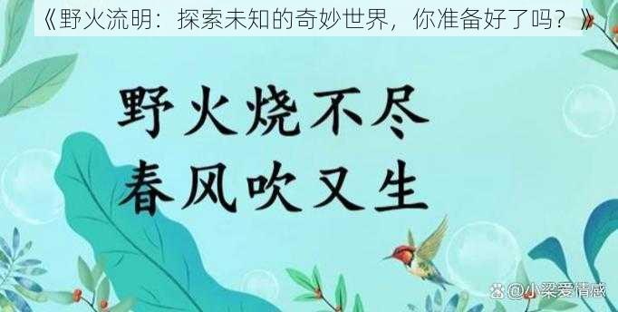 《野火流明：探索未知的奇妙世界，你准备好了吗？》