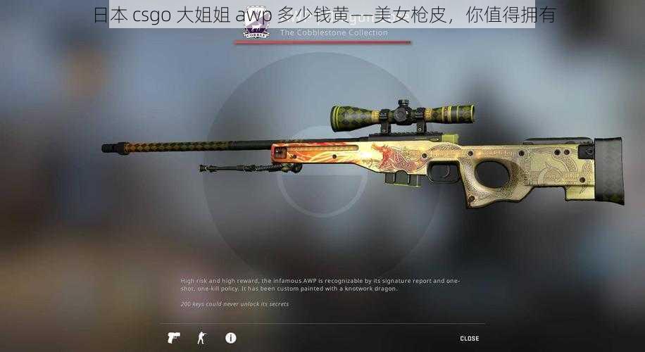 日本 csgo 大姐姐 awp 多少钱黄——美女枪皮，你值得拥有