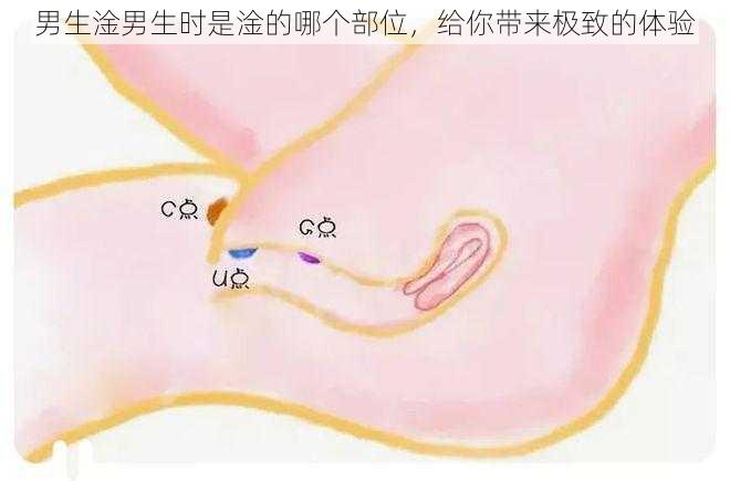 男生淦男生时是淦的哪个部位，给你带来极致的体验