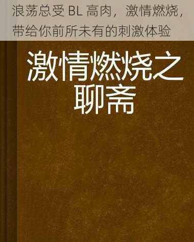 浪荡总受 BL 高肉，激情燃烧，带给你前所未有的刺激体验